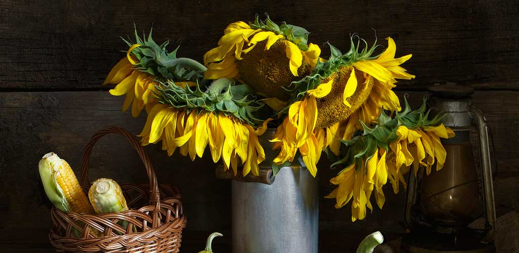 Una muerte casi buscada margaritas marchitas